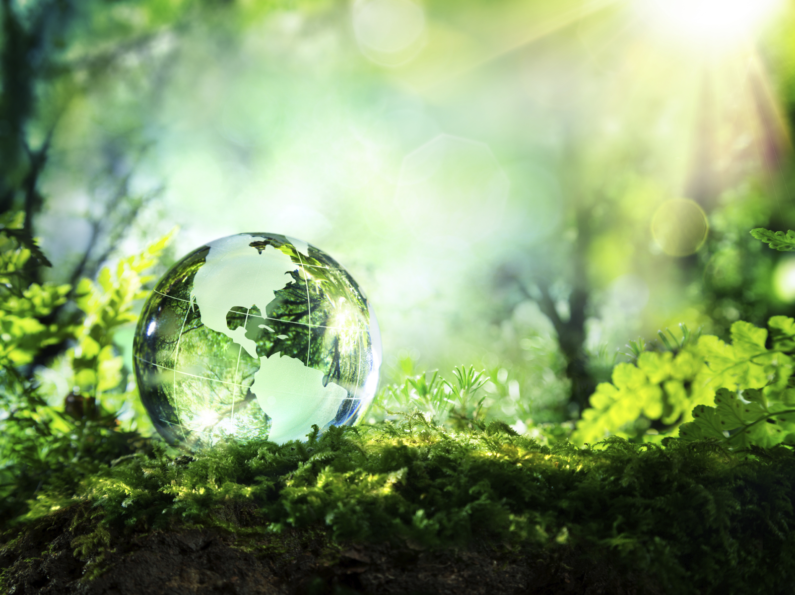 financialounge -  green economy italia Made In Italy sostenibilità