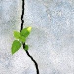 Obbligazioni, nel 2016 non mancheranno le opportunità