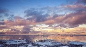 financialounge -  BlackRock Investment Institute cambiamenti climatici cina india italia