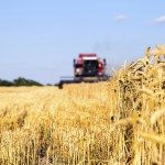 Sviluppo agro-alimentare, un megatrend che comincia a dare i frutti