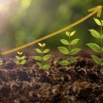 Fondi obbligazionari SRI, +13 per cento in tre anni