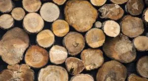 financialounge -  commodities Duncan Lamont materie prime
