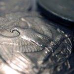 Trump, il dollaro e Janet