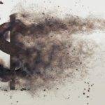 L’amministrazione Trump non è interessata a un dollaro forte