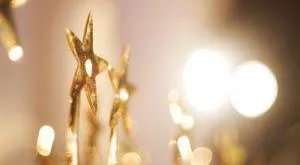 financialounge -  Blue Chips Capital Group fondi a lungo termine morningstar Richard Carlyle