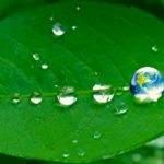 Investimenti, determinare con successo i rischi tramite i fattori ESG