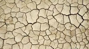 financialounge - ambiente Asset Owners Disclosure Project cambiamenti climatici ESG Etica Sgr fondi laggard germania Global Climate Index 2017 investimenti responsabili