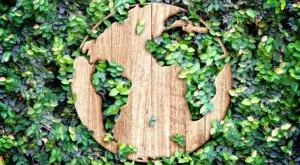 financialounge - ESG finanza sostenibile Neuberger Berman Pri Onu