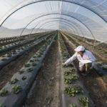 Guadagnare rispettando l’ambiente: si può fare (e conviene)