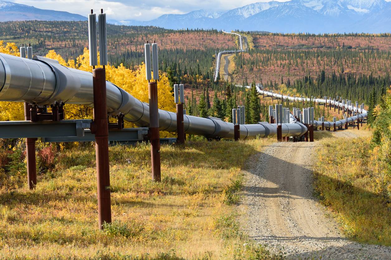 financialounge -  Capital Group Damien McCann gas naturale mercati obbligazionari OPEC petrolio settore energetico