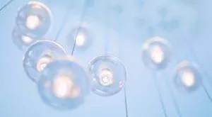 financialounge - A-share Capital Group AMCAP (LUX) cina IBM idee di investimento liquidità mercati azionari MSCI Emerging Markets svizzera tassi di interesse USA