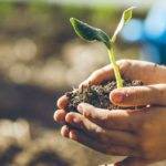 CSR, le aziende comunicano di più ma convincono di meno gli investitori