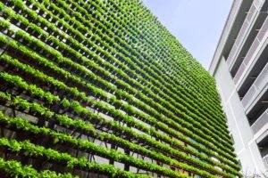 Investimenti responsabili, l’approccio ESG rende le performance competitive