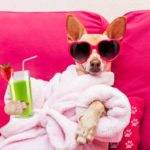 Le famiglie a più basso reddito spendono il 40% delle entrate in beni di lusso