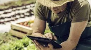 financialounge -  Alan Wilson Capital Group cloud computing settore tecnologico USA