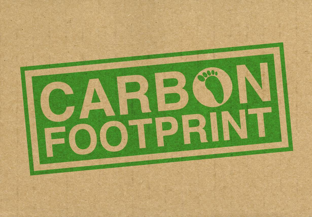 financialounge -  ambiente carbon footprint Etica Azionario Etica Sgr impronta di carbonio Luca Mattiazzi