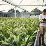 Indici ESG, le performance di pari passo ai principi etici e ambientali