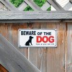 NPL, se continuiamo a dare la colpa al cane