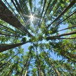 Candriam lancia il fondo SRI Bond Global High Yield