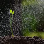 Robeco festeggia 20 anni della strategia Sustainable Water