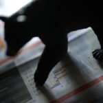 Azioni, perché i rendimenti futuri rischiano di essere più bassi