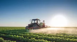 financialounge -  cina Donald Trump Guerra commerciale Libby Cantrill PIMCO soia Tiffany Wilding USA