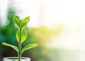 Investimenti sostenibili pronti a conquistare anche il mercato retail