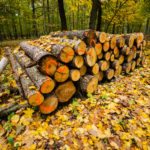 L’età del legno non è tramontata, ma la produzione non tiene il passo