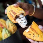 ETF, nel primo trimestre la combo vincente è petrolio-cacao