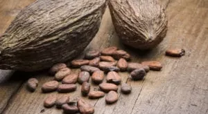 financialounge - cacao commodities commodity Fabien Weber GAM materie prime metalli industriali metalli preziosi zucchero