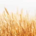 Attese & Mercati – Settimana dal 27 agosto 2018