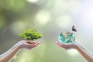 Valutare la responsabilità aziendale in base a gestione finanziaria ed ESG