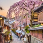 Fioritura fuori stagione per la Borsa di Tokyo