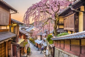 Fioritura fuori stagione per la Borsa di Tokyo