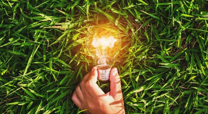 financialounge -  Clima cop30 investimenti sostenibilità sunday view