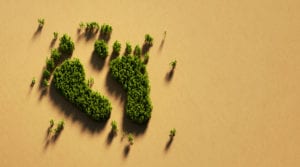 Fondi Etica Sgr, ecco la carbon footprint 2018 degli investimenti azionari