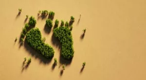 financialounge - azionari carbon footprint Etica Sgr impronta di carbonio mercati azionari