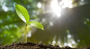 financialounge - ESG forum finanza sostenibile investimenti sostenibili Settimana SRI SRI