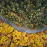 Il cammino difficile del ritorno alla normalità