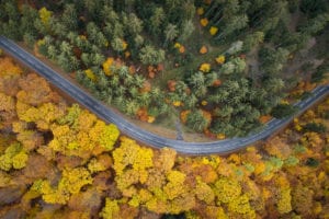 Il cammino difficile del ritorno alla normalità
