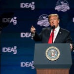 Muro Usa-Messico: fondi dal taglio degli aiuti ai paesi esteri