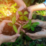 Economia sostenibile: una scelta obbligata per industria, finanza e cittadini