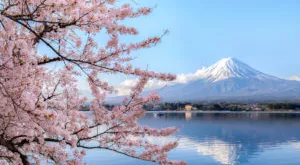 financialounge -  Borsa di Tokyo giappone Joel Le Saux SYZ Asset Management yen