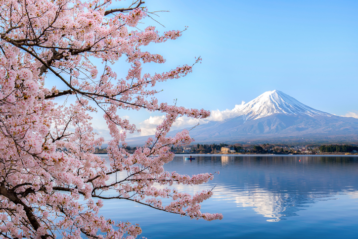 financialounge -  Borsa di Tokyo giappone Joel Le Saux SYZ Asset Management yen