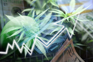 La cannabis sbarca a Piazza Affari con JustMary.fun
