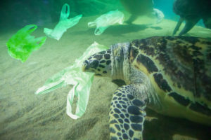 Investire con intelligenza per salvare i mari dalla plastica