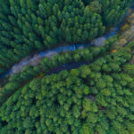 I motori della crescita sostenibile secondo Invesco