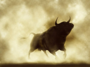 Il Toro ormai ha una certa età, ma ha ancora buone gambe