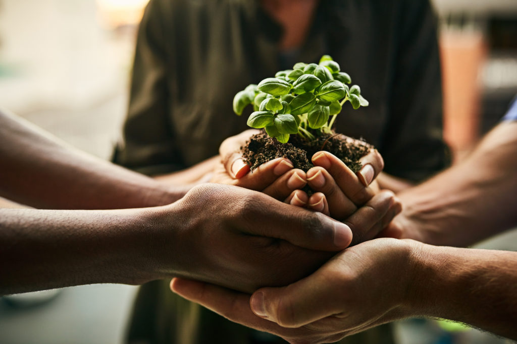 financialounge.com Conti alla Rovescia - Nutrire il pianeta: investire nella sfida dell'alimentazione