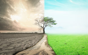 Cambiamento climatico, il tema d’investimento del presente e del futuro